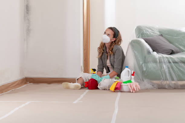 Reliable Mold Removal contractor in Simpson, NC by Car Mold Remediation
